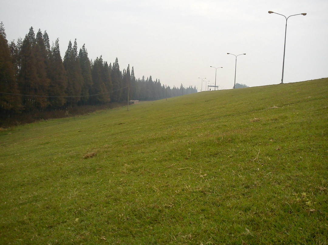 万里长江第一兽-江陵县必去景点