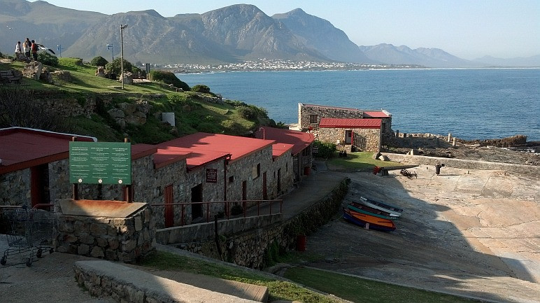 Hermanus-Seekers Day Tours-赫曼努斯必去景点
