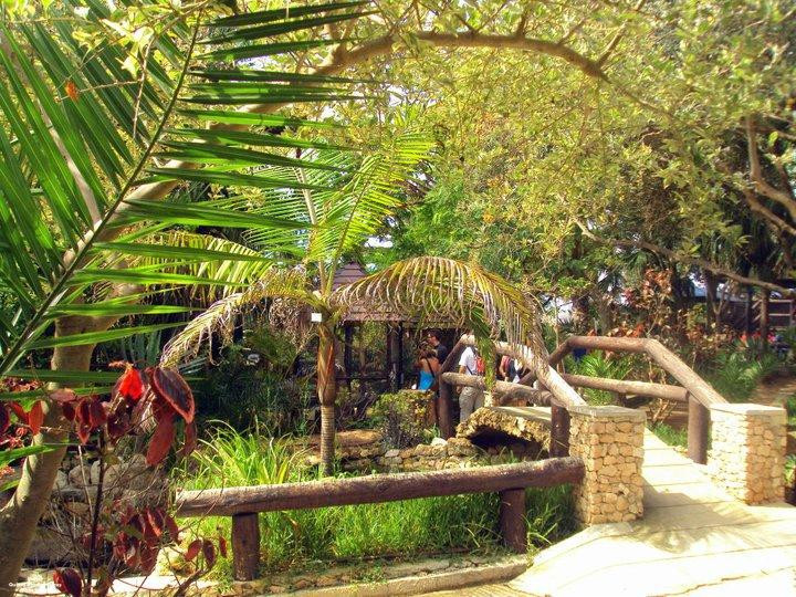 Quinta Das Palmeiras-Porto Santo Island必去景点