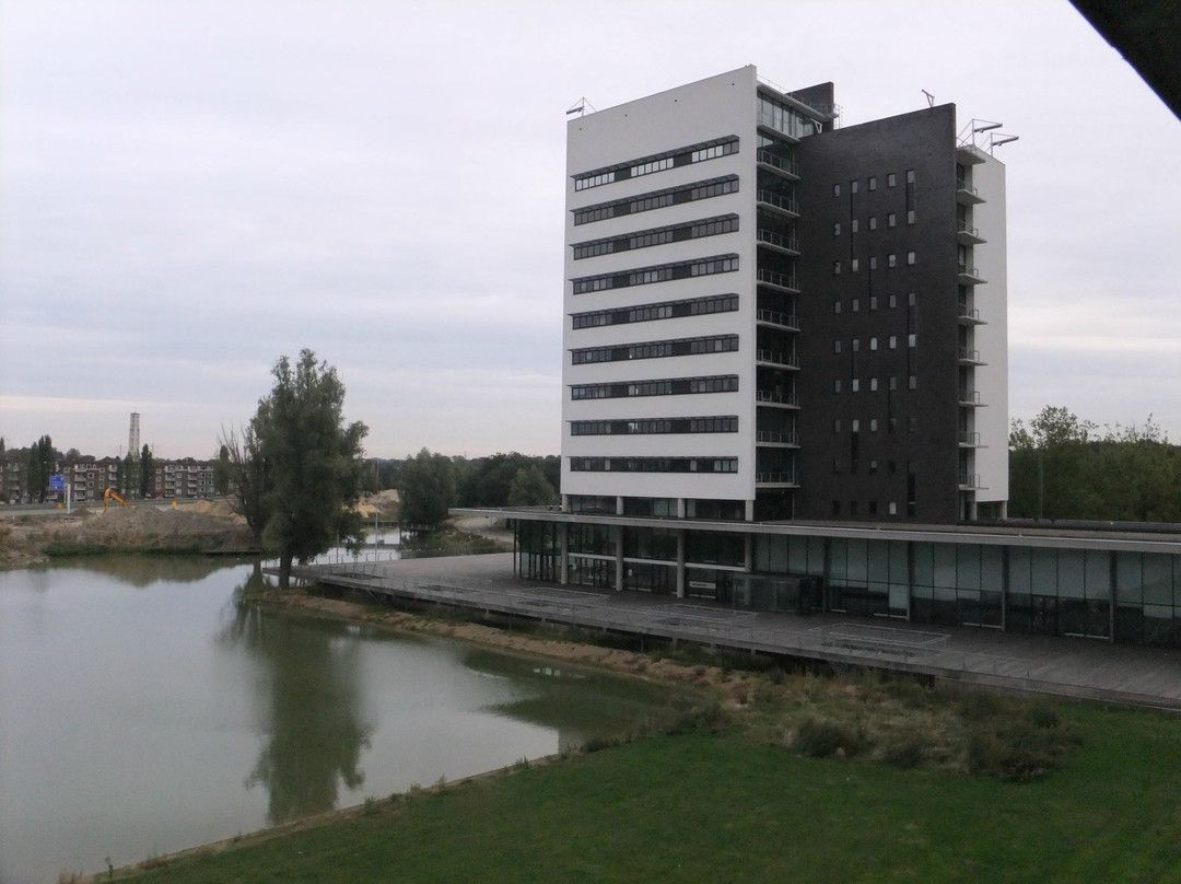 金色郁金香酒店