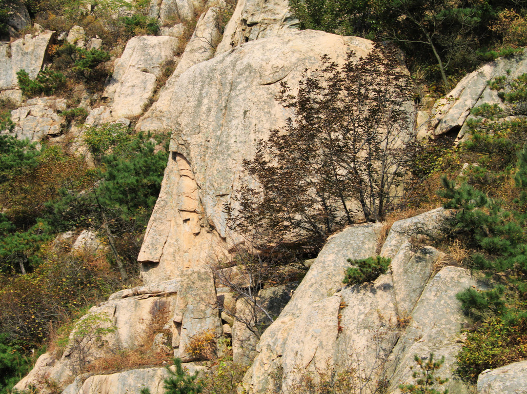 招虎山-海阳市必去景点