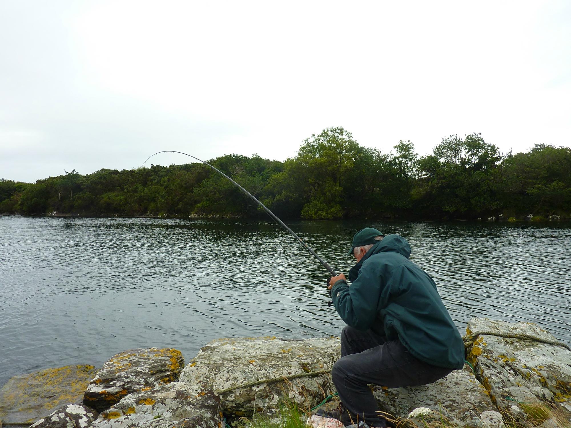 Dromagowlane House-客卧