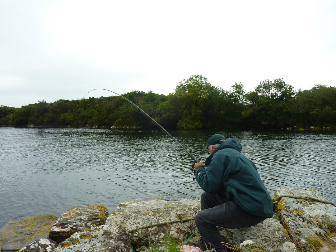 Dromagowlane House主图