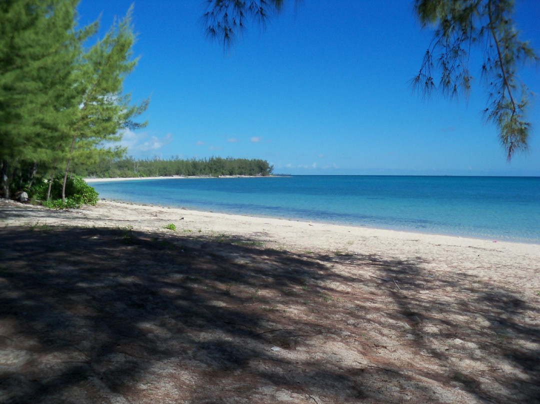 Morgan's Bluff-Andros必去景点