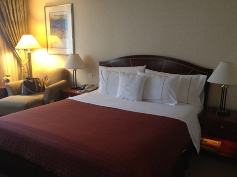 成都天府丽都喜来登饭店（天府广场店）主图