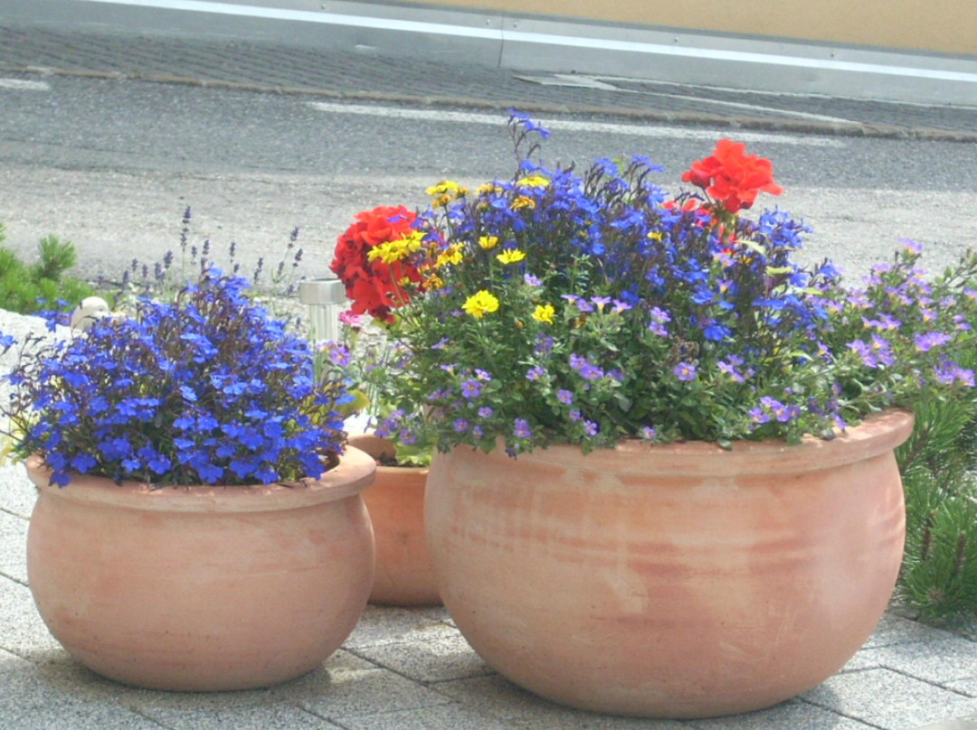 Pension Laerchenhain
