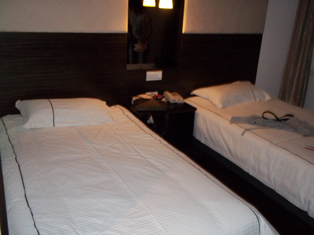 嘉和国际快捷酒店主图