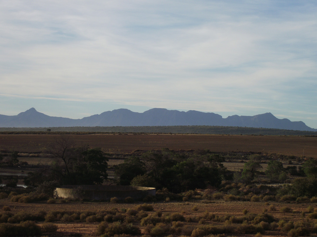 Eden Mountain Biking Tours- Day Tours-乔治必去景点