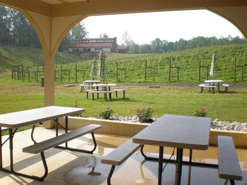Potomac Point Winery景点图片