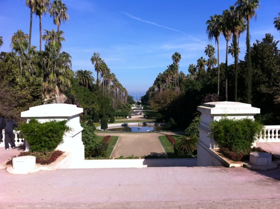 Le Jardin d'Essai du Hamma景点图片