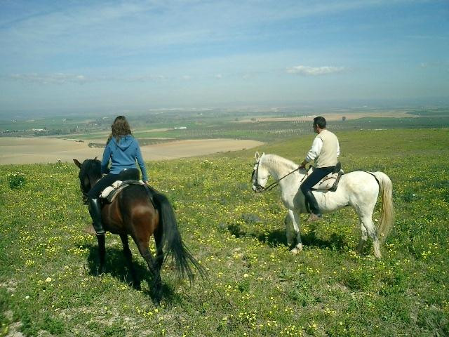 Europe Equitation Horse riding-桑路卡拉马尤必去景点