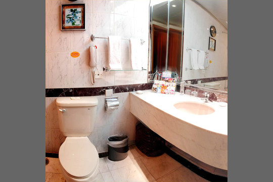 潍坊大酒店主图