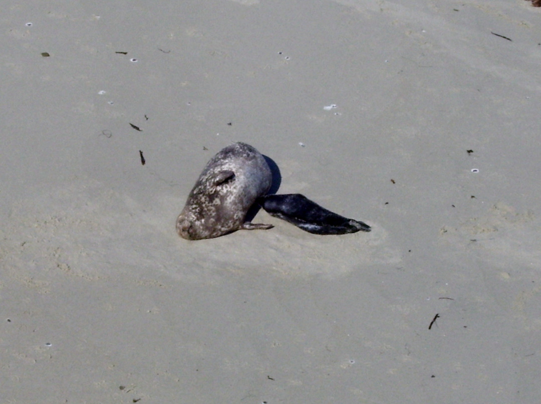 儿童泳池-拉荷亚必去景点