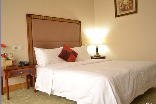 玫瑰大酒店主图