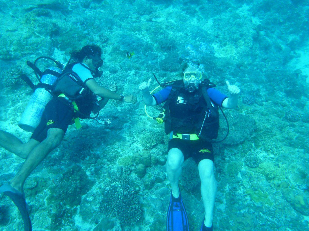 Big Blue Scuba Diving-维拉港必去景点