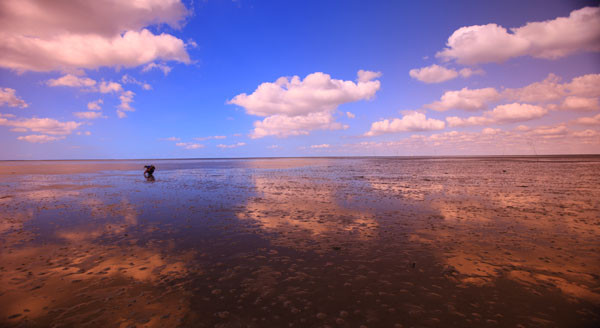 Romo Island景点图片