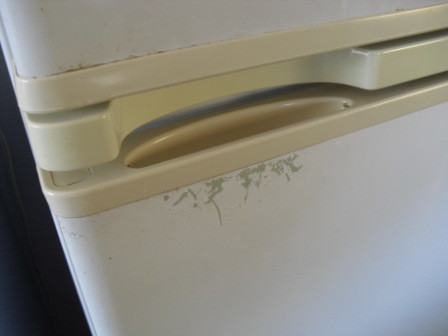 德尔菲诺斯湾度假村主图