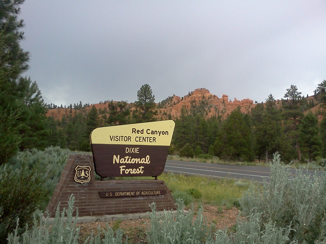 Dixie National Forest-锡达城必去景点