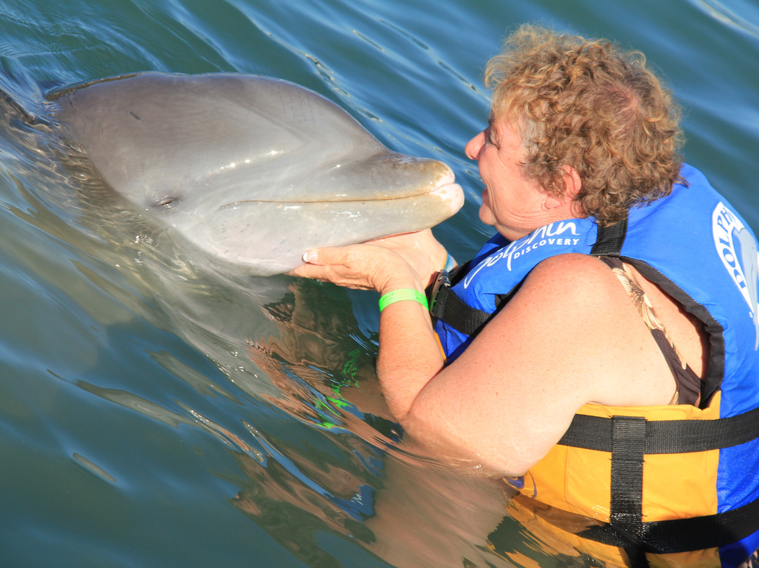 Dolphin Discovery Los Cabos-圣何塞卡波必去景点