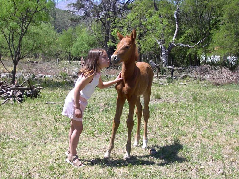 Estancia Corralito主图