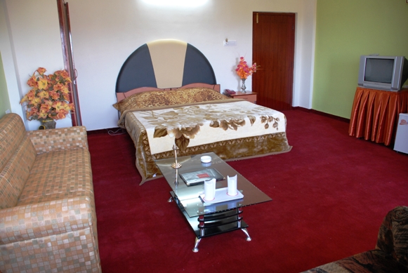 Hotel Rajshree-浴室