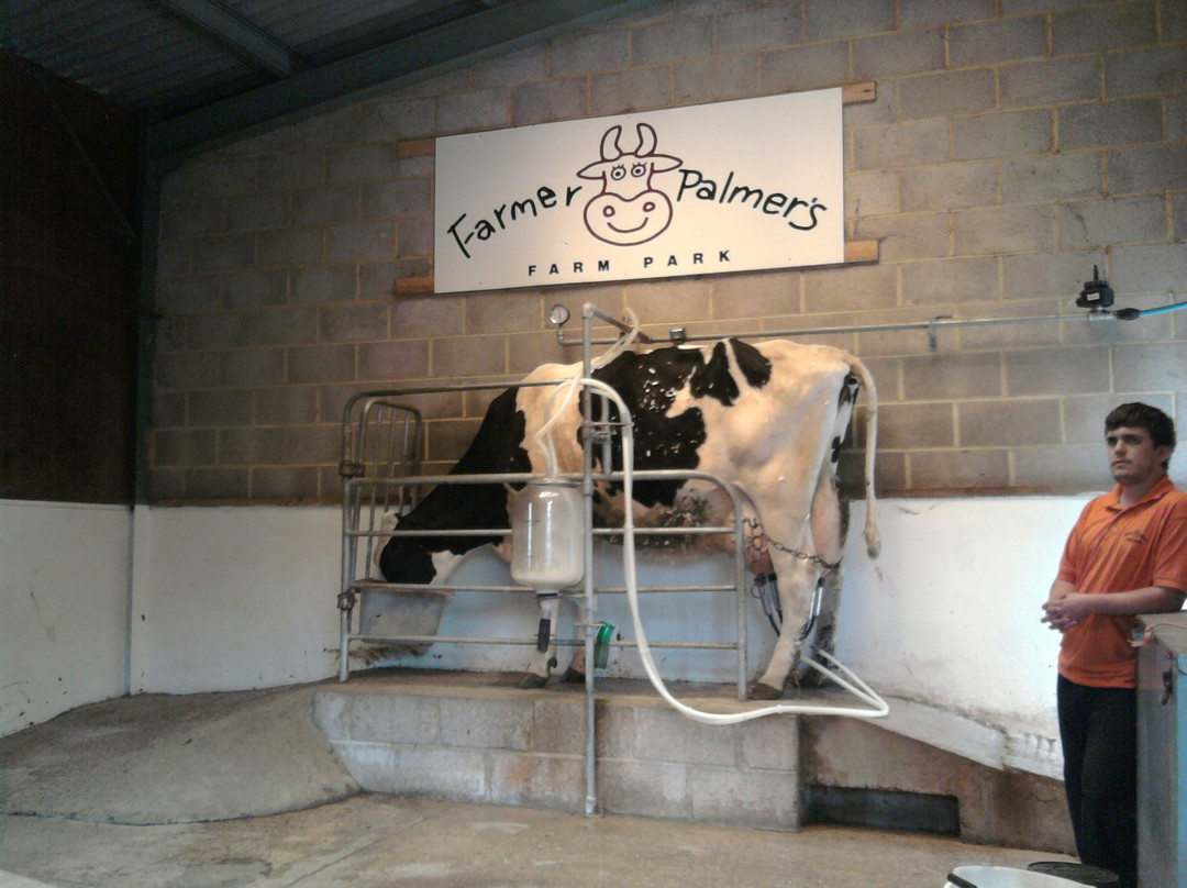 Farmer Palmer's Farm Park景点图片