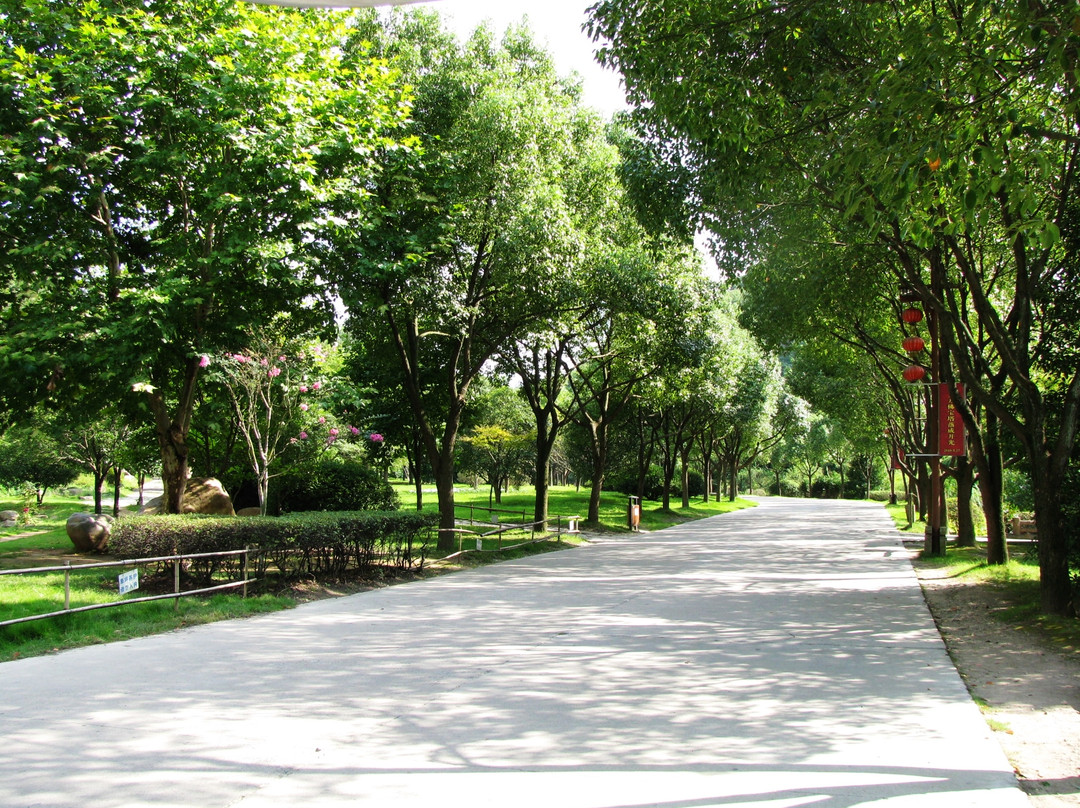 大佛寺-新昌县必去景点