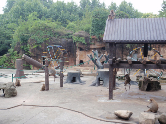 上海动物园-上海市必去景点