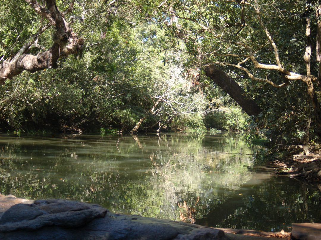 Kodagu (Coorg)旅游攻略图片
