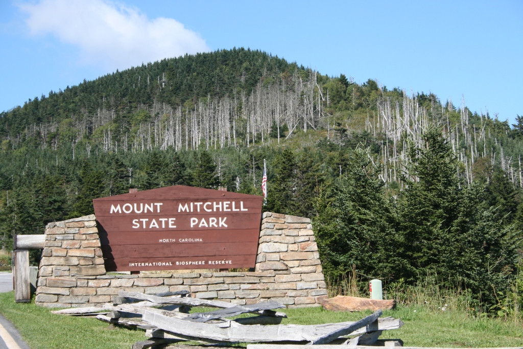 Mount Mitchell State Park景点图片
