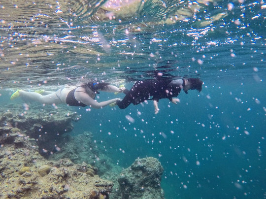 WATER TRIBE-名护市必去景点