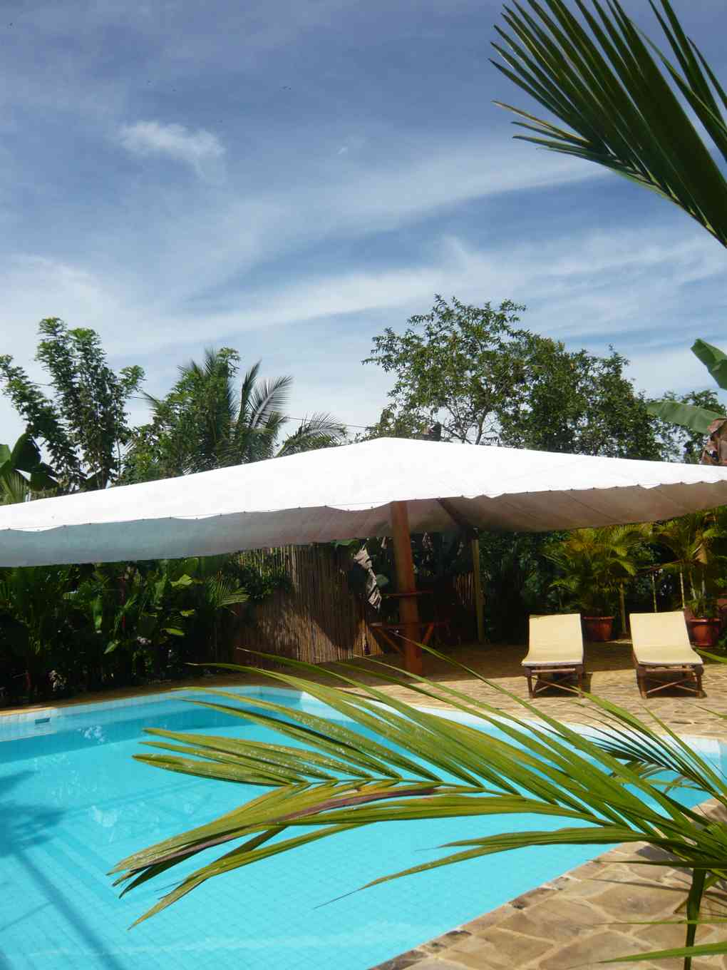 Bed & Breakfast San Pedro-官方
