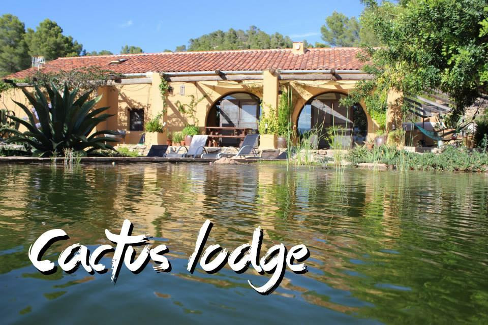 Cactus Lodge Guest House
