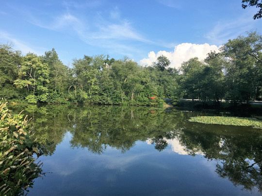 Elmer旅游攻略图片