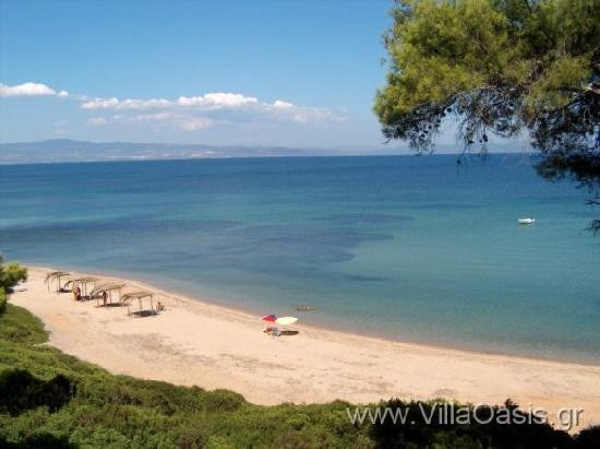 Villa Oasis