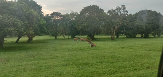 阿布岱尔城市俱乐部酒店主图