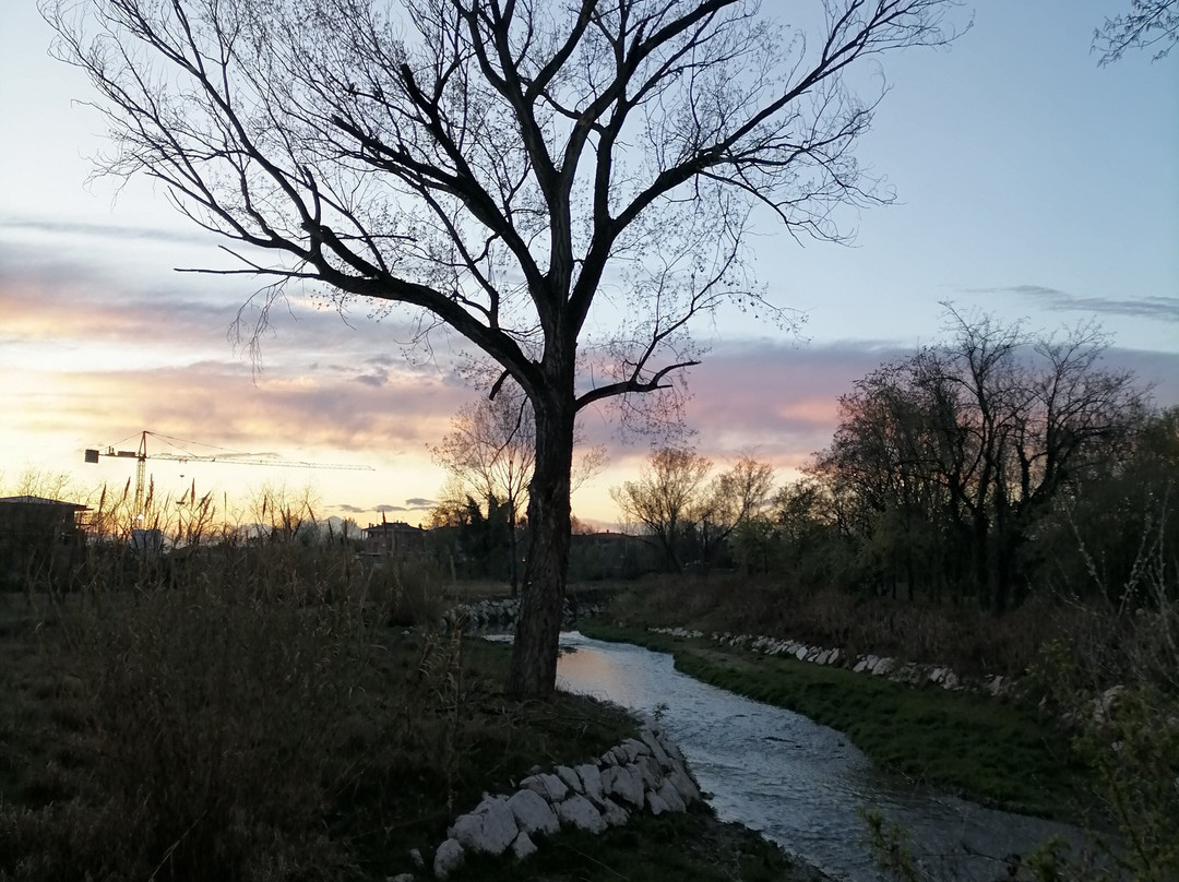 Parco del Molgora-维梅尔卡泰必去景点