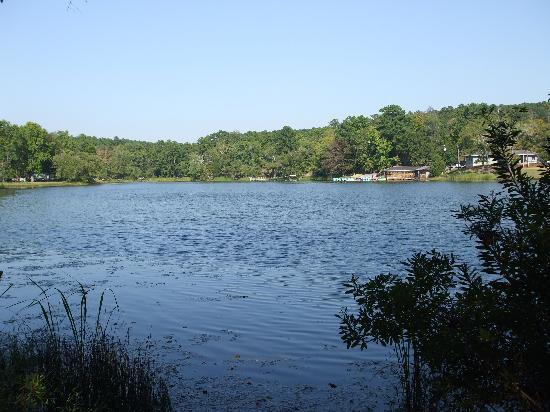 Tyler State Park景点图片