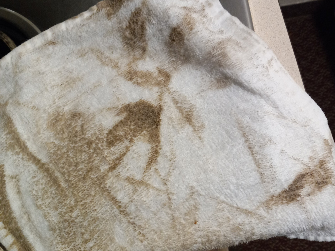 WoodSpring Suites Chesapeake-Norfolk South主图