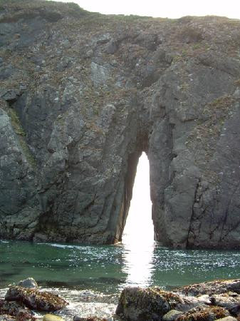 Harris Beach State Park-布鲁金斯必去景点