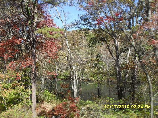 Blue Ridge Scenic Railway景点图片
