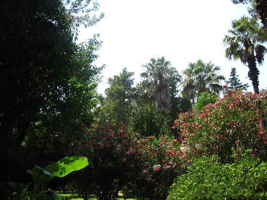 İçmeler Plajı景点图片