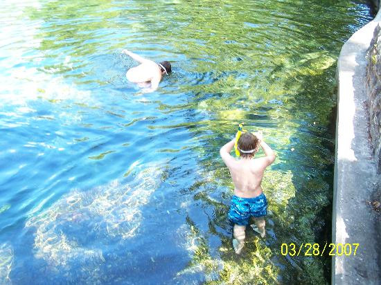 Wekiwa Springs State Park-Apopka必去景点