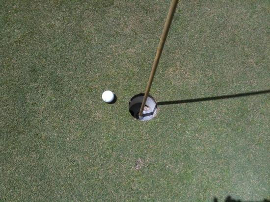 Black Mesa Golf Club景点图片