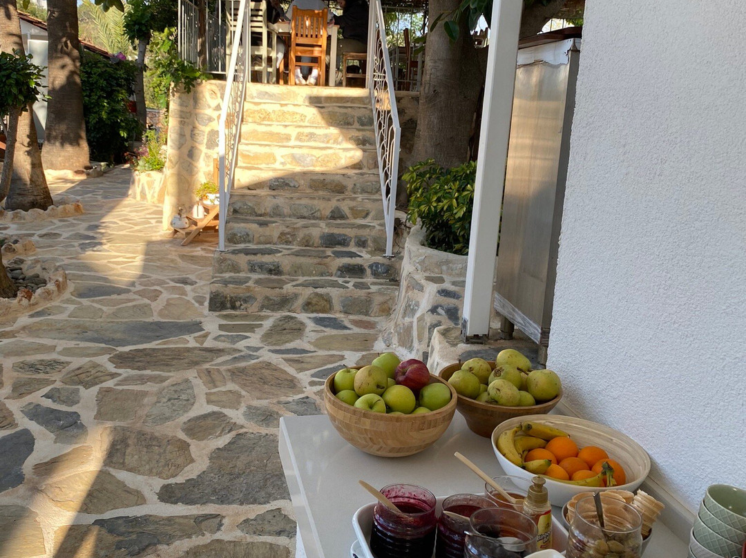 Golden Lighthouse Hotel主图