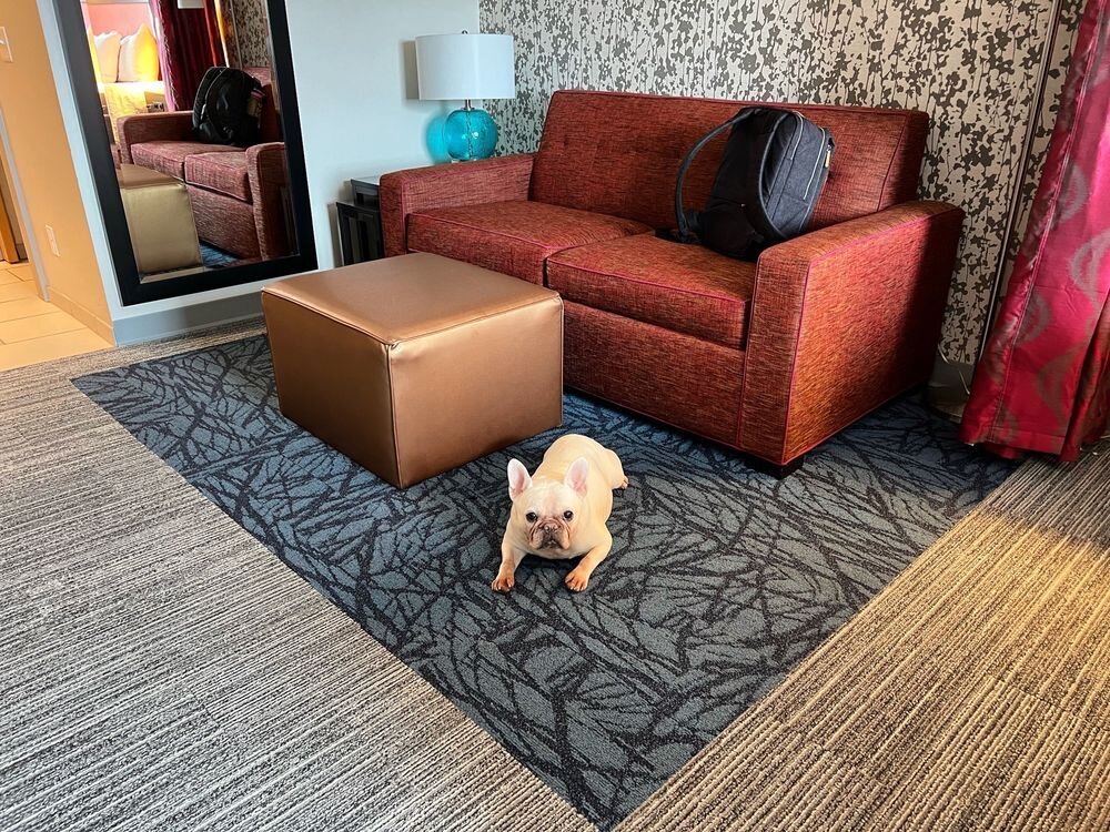 Home2 Suites by Hilton Smithfield Providence-客卧