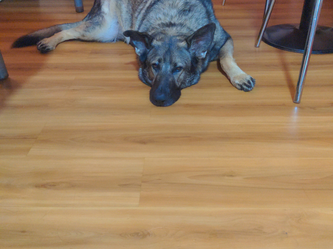 Lincoln Garden Inn主图