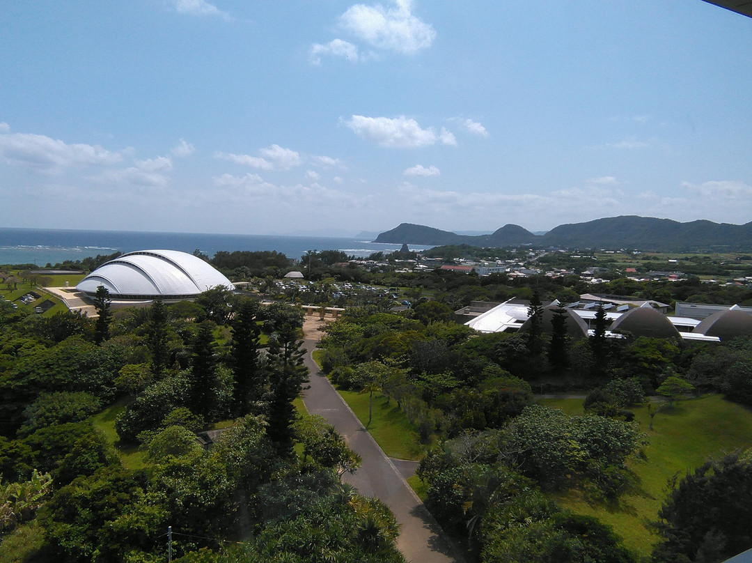 Amami Park-奄美市必去景点