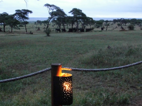 Swala Camp, An A&k Sanctuary主图