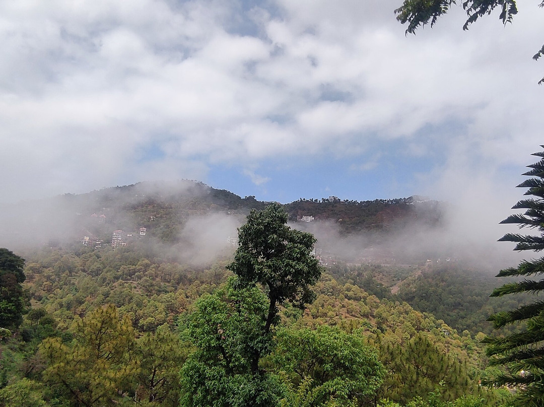 Misty Meadows Resorts主图